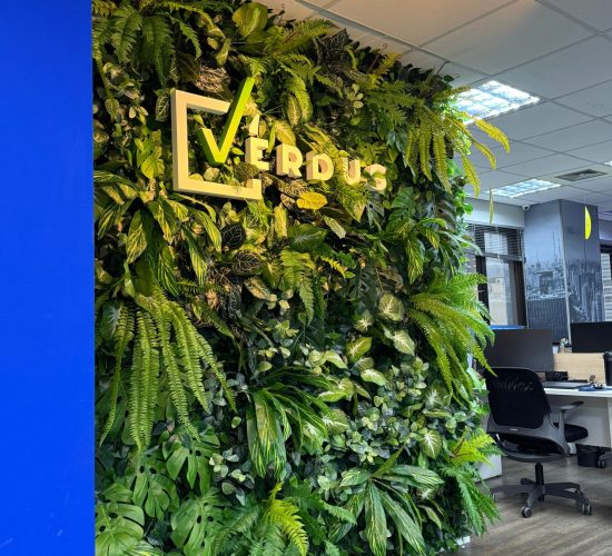 institutional_WhatsApp Image 2024-07-29 at 16.35.30